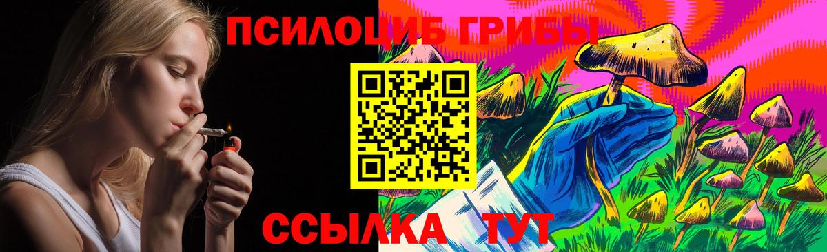Галлюциногенные грибы Cubensis  Галлюциногенные грибы прущие грибы  Вход с VPN  Кыштым 